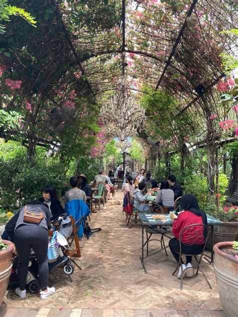 grounds in the city|gardens of alexandria.
